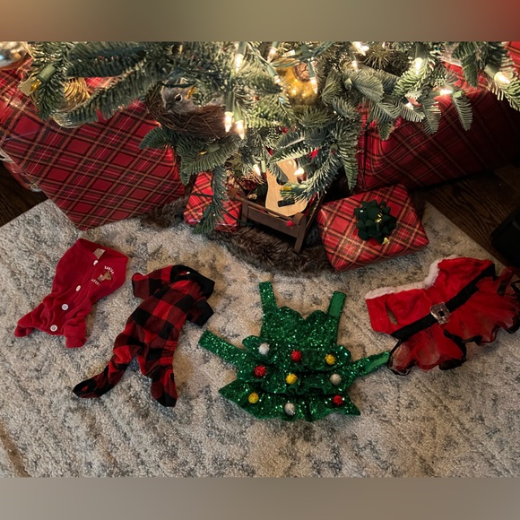 Other - Festive Pet Holiday Outfits